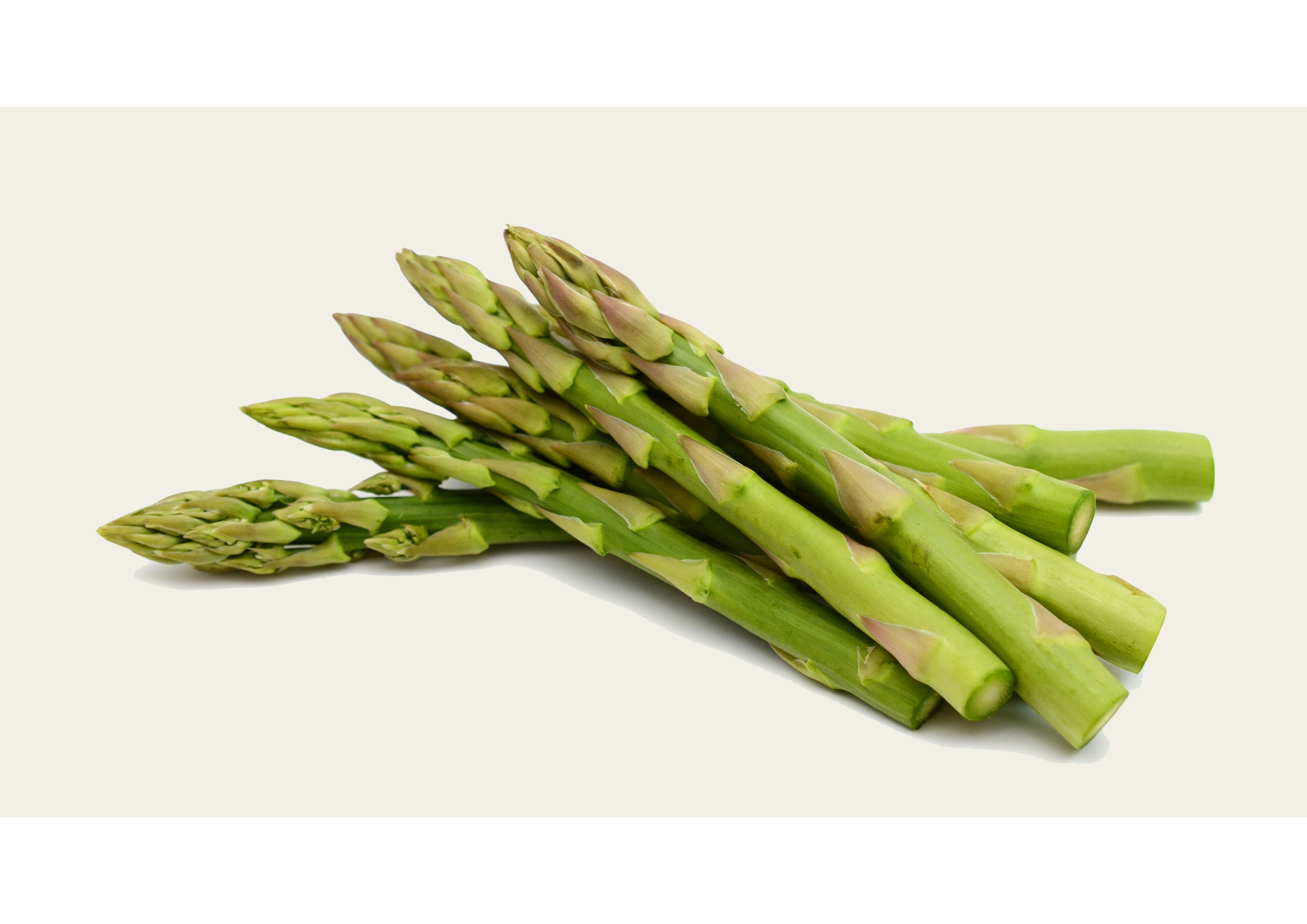 Nur frisch und aromatisch gebundene Spargel – verleihen Sie Ihrer Ernährung eine edle Note!