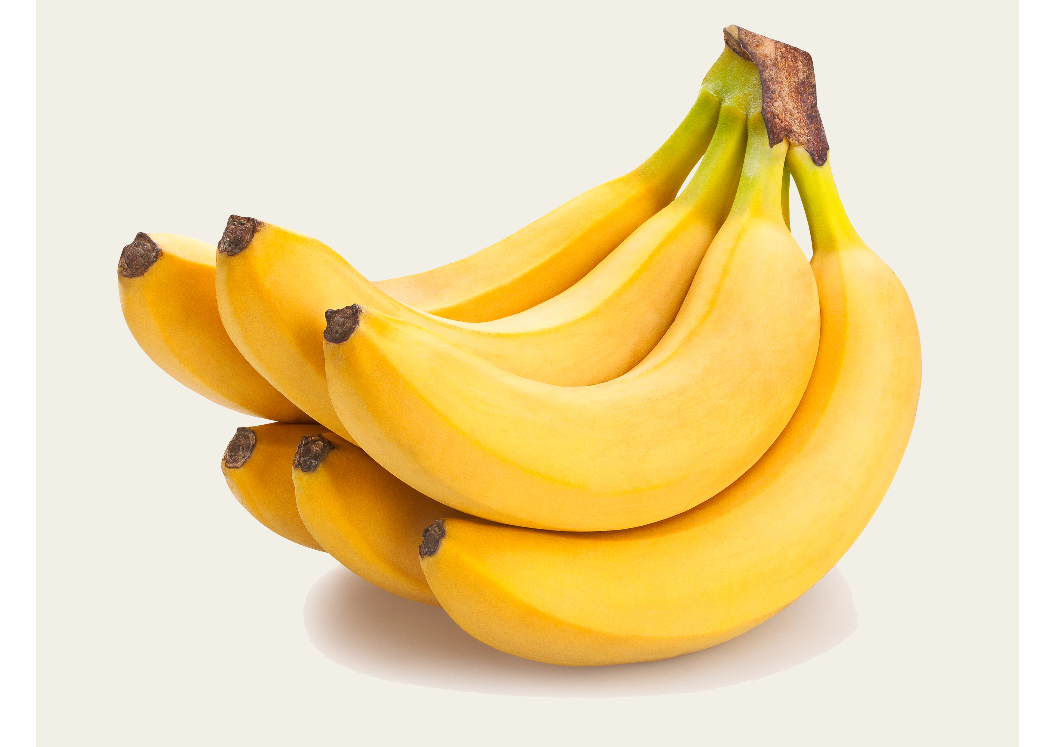 Ersparnis 15kg Cavendish Bananenkiste für reinen Geschmack und Qualität