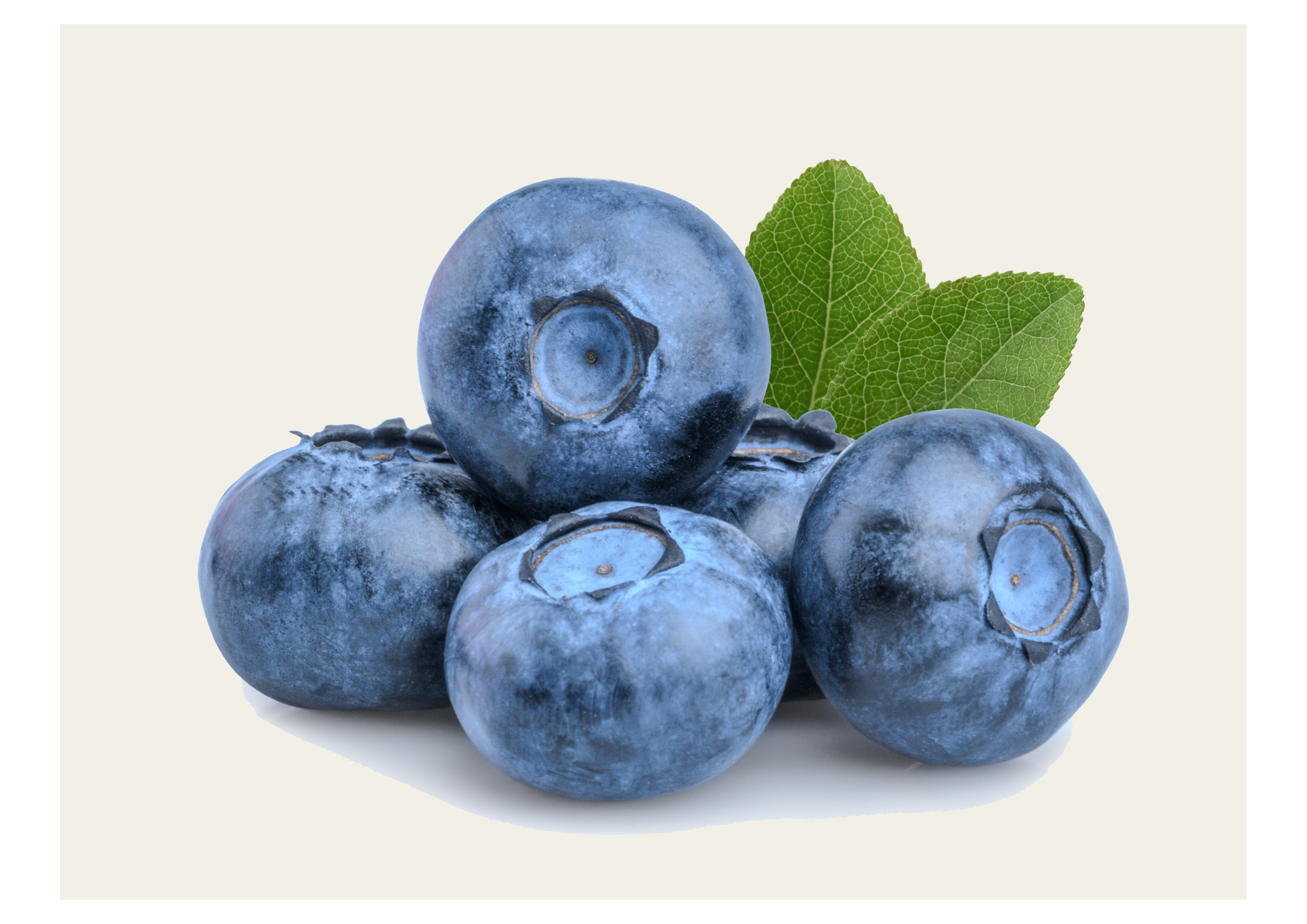 Saftige Blaubeeren – 125g Schale, Perfekt zum Naschen und Backen