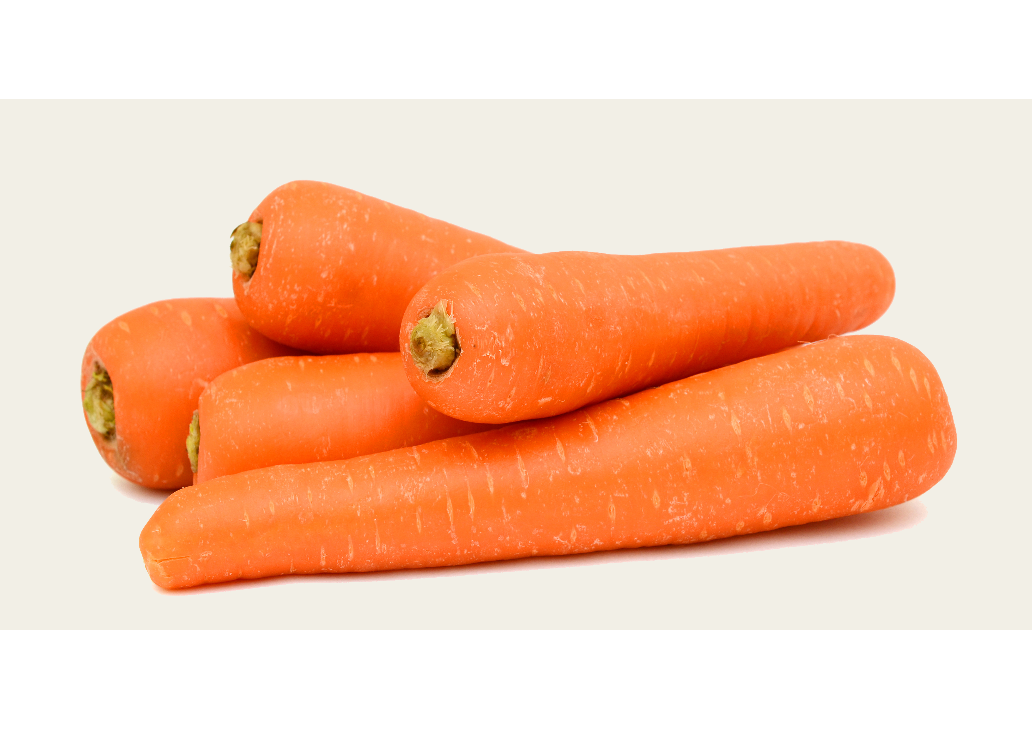 Frisches hochwertiges Karotten / 1 kg