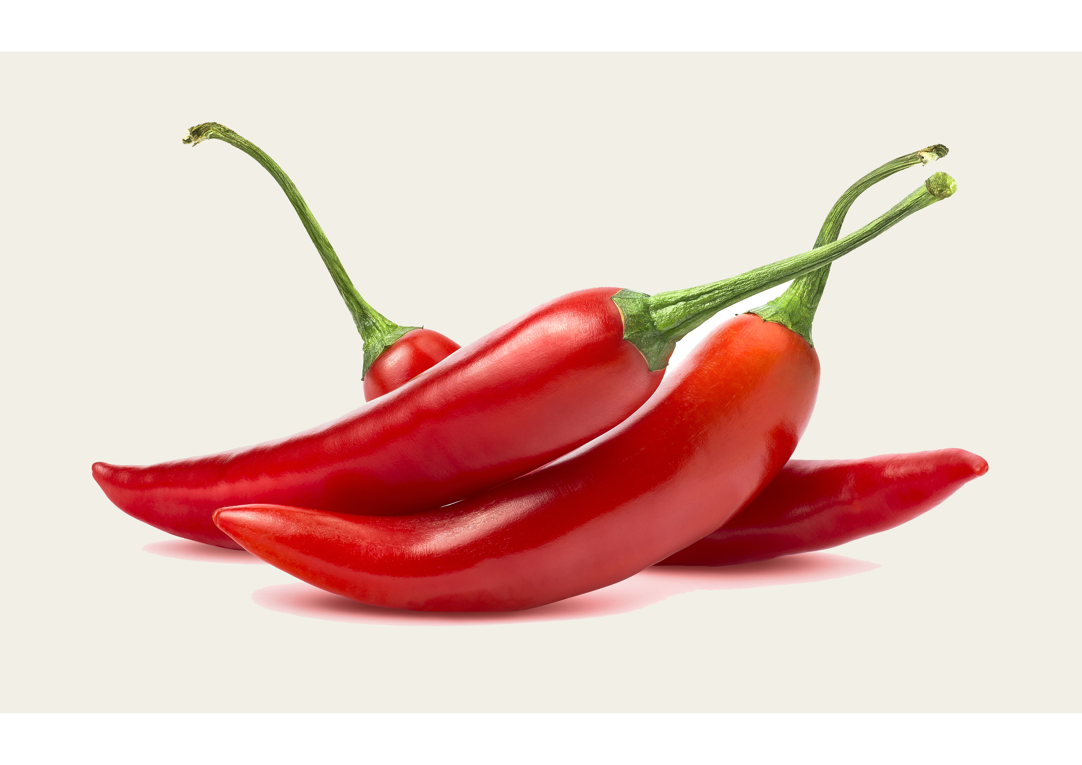 Geschärfte rote Chilis (sehr scharf)