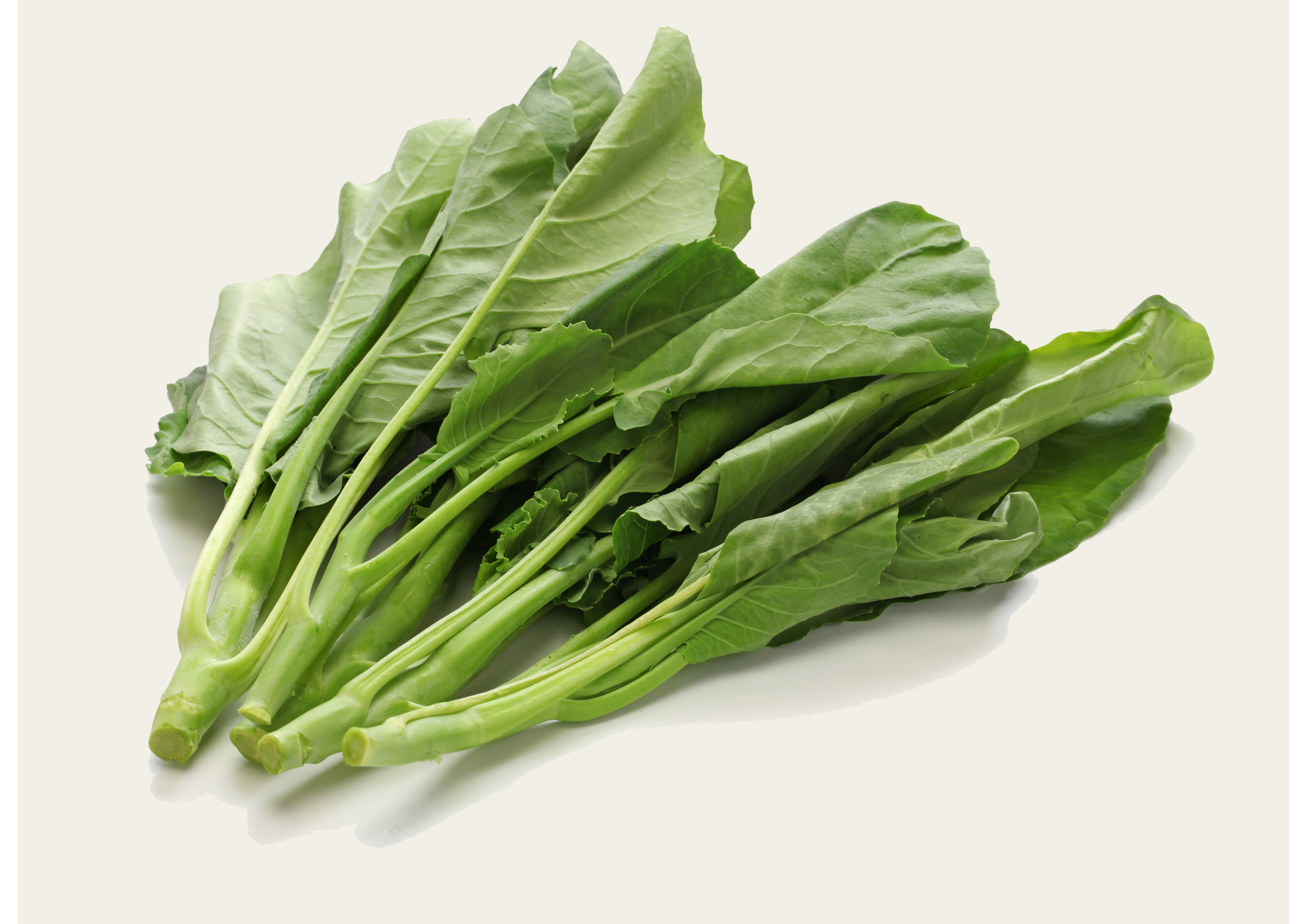 Gai Lan Frisches Knoblauch-Lian Grünes Gemüse Ein Bund