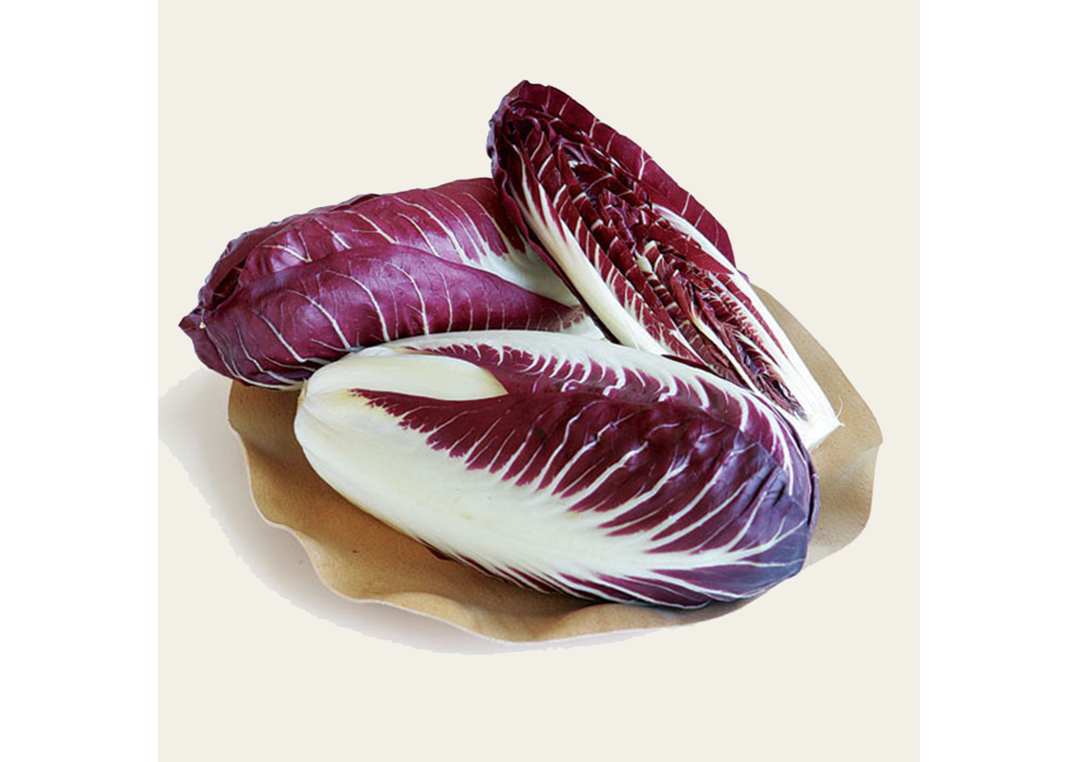 Frischer hochwertiger Radicchio – pro Stück