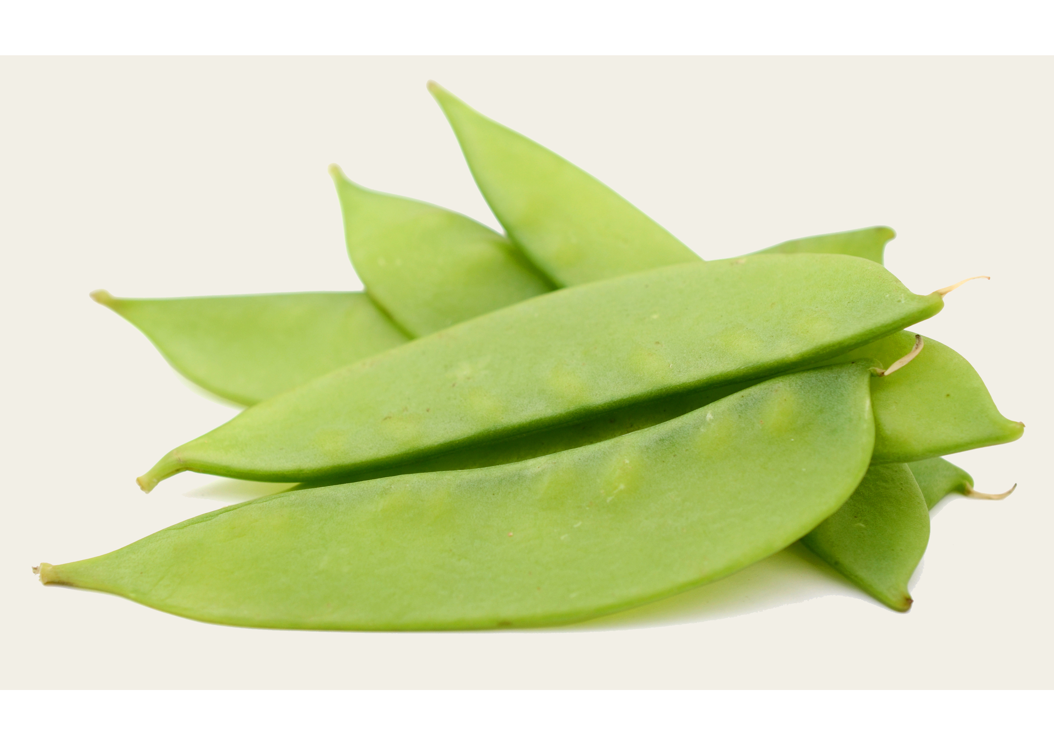 Junge grüne Snow Peas für frischen Geschmack und knackige Snacks