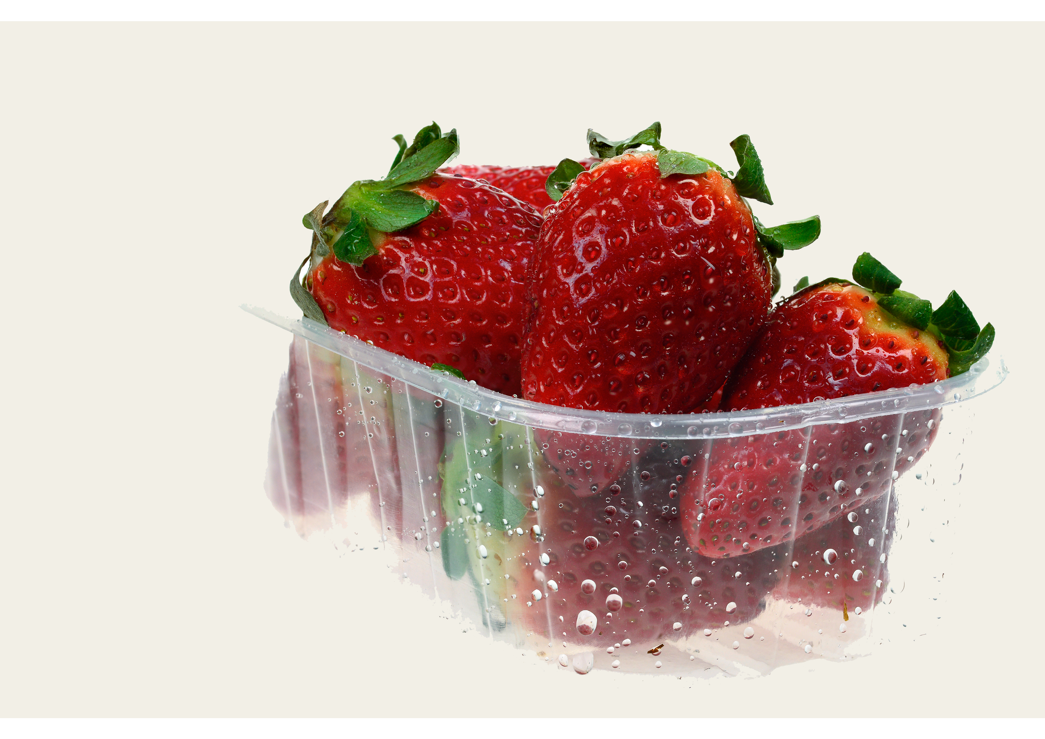 Hochwertige Erdbeeren - Schale (250g)