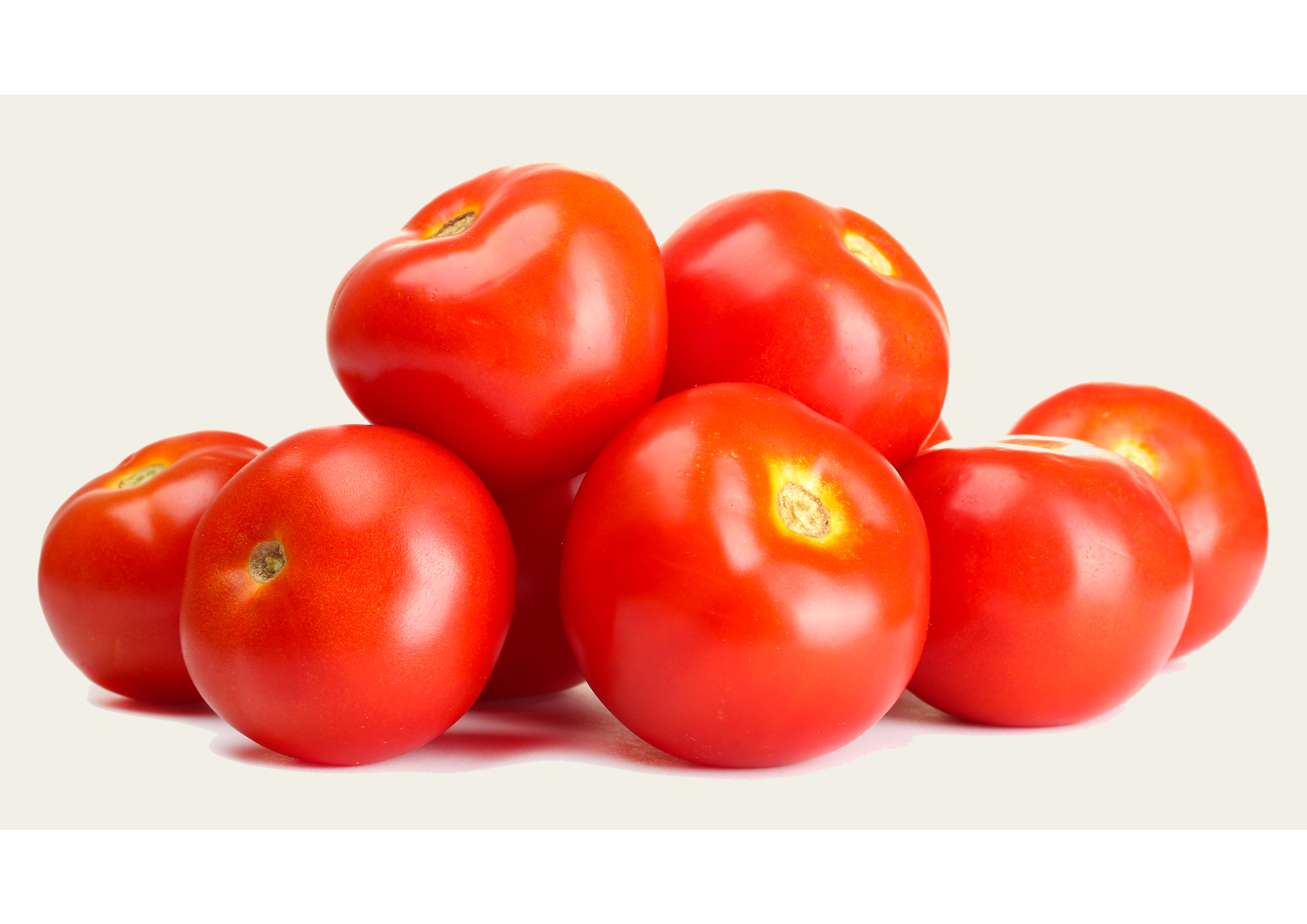 Frische Tomaten von Premium-Qualität - Verkauf pro Kilogramm
