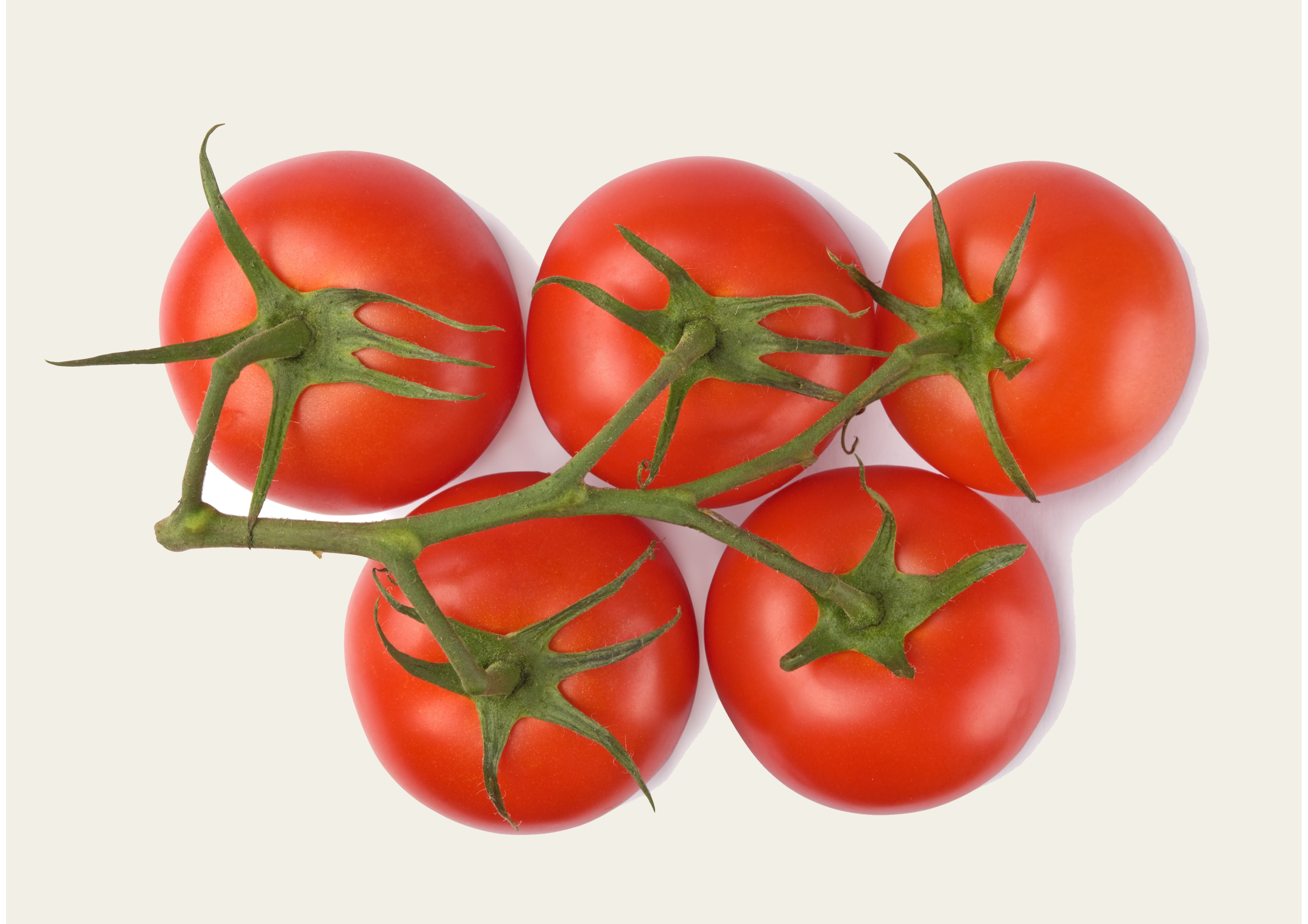 Frische und saftige Tomatentraube – Preis pro Kilogramm