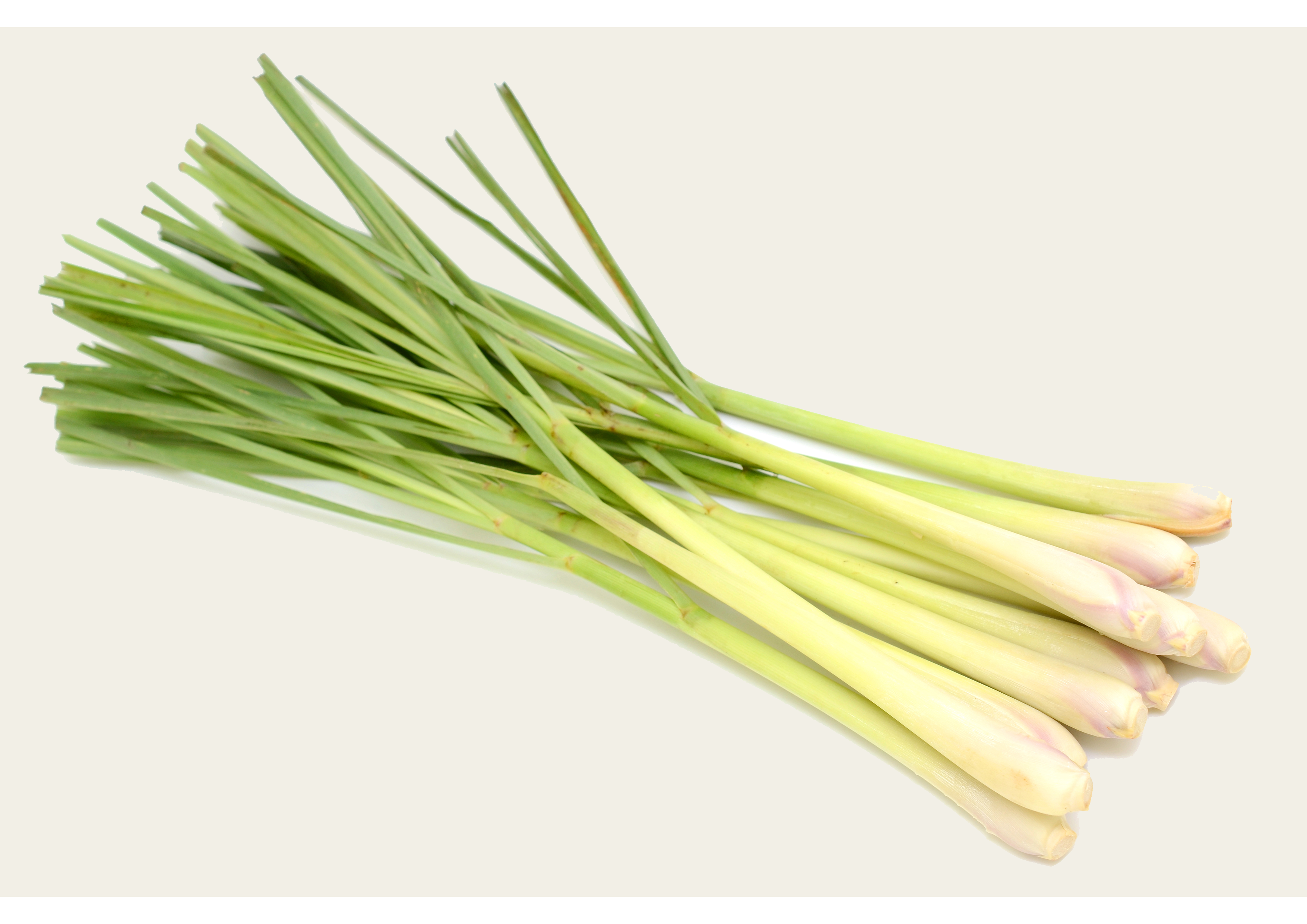 Schweiß Tagetes Kaffirlimette 1 Stück