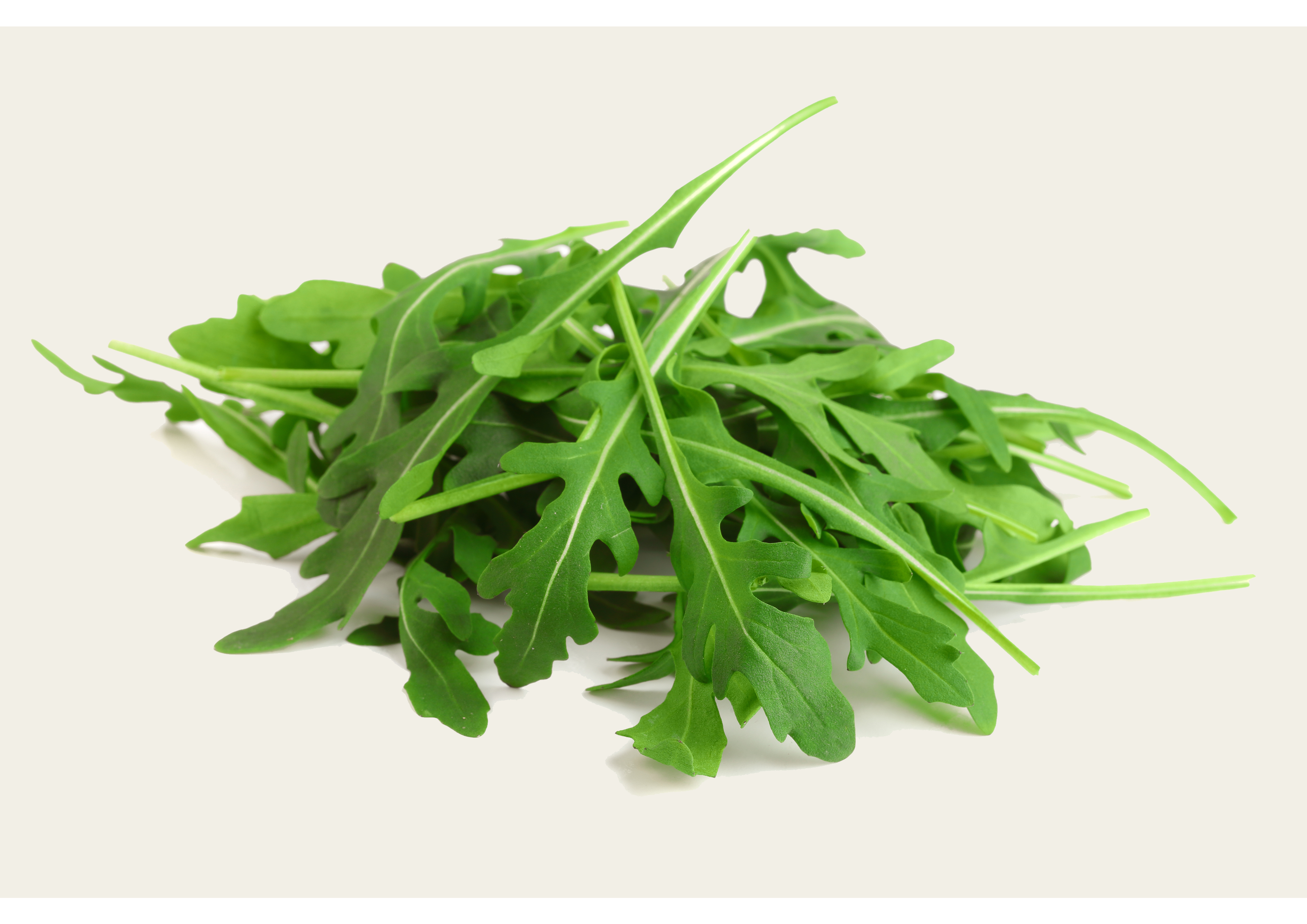 Wilde Rucola 100 g Frische und Knackigkeit in jeder Packung