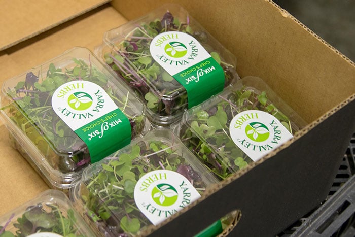 Yarra Valley Kräuter Frische Micro-Salatmischung Pack – Köstliche und Nährstoffreiche Grünpflanzen für jede Mahlzeit