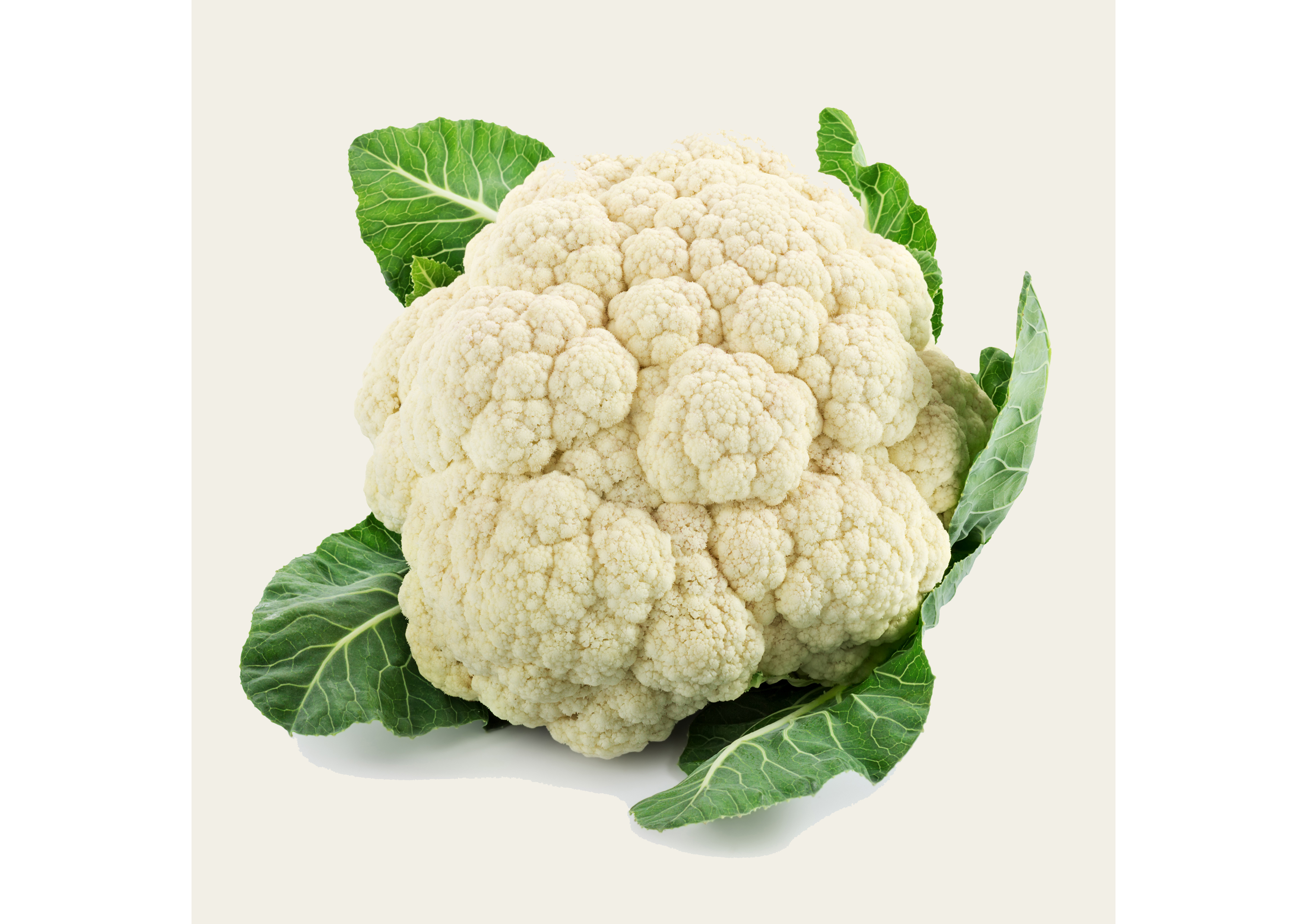 Einzelne blumenkohlfarbene Brokkoli-Kugel