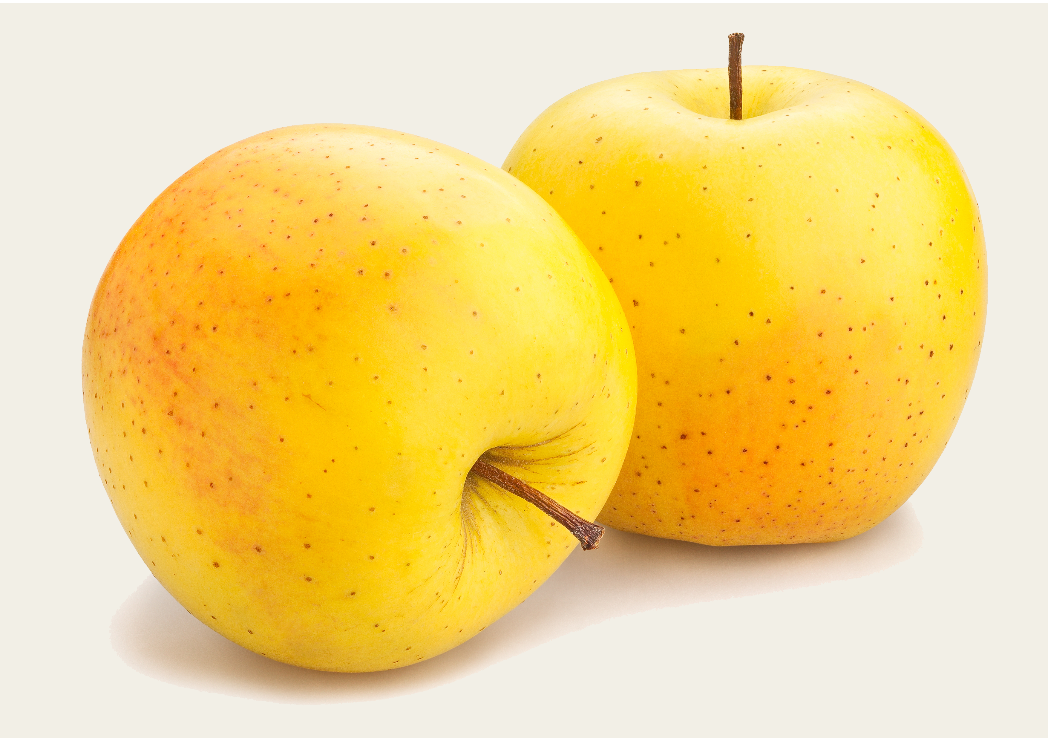 Goldene Apples Gladys