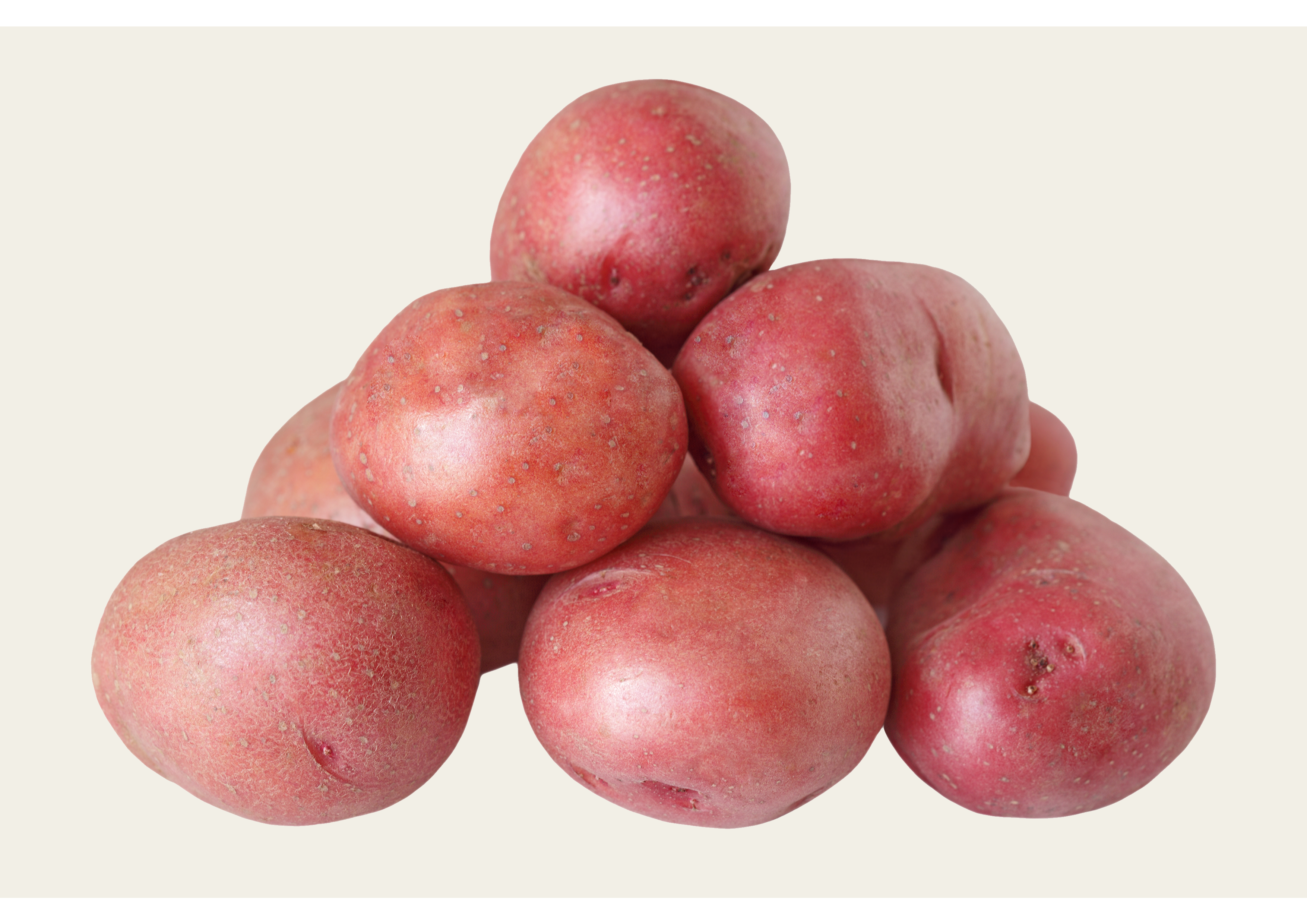 1-kg-Sachet frisch geernteter Red Chats Kartoffeln